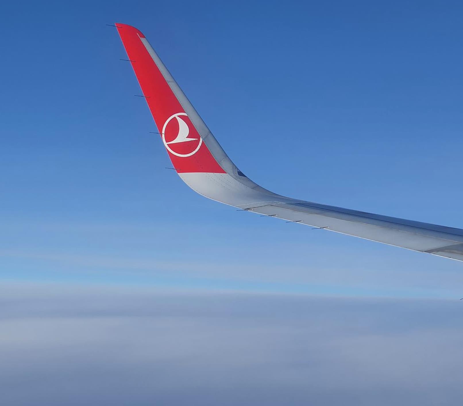 Read more about the article Booking Turkish Air Business Class to Israel
